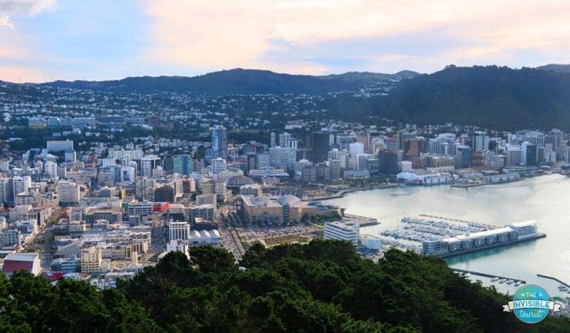 Discover what to do in New Zealand in January, view of Wellington city from the Victoria Lookout with lots of tall buildings nestled into a bay surrounded by tall green hills